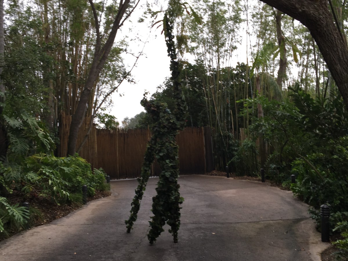 My Favorite Things – Animal&nbsp;Kingdom